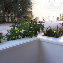 фото из отзыва ID 1835063