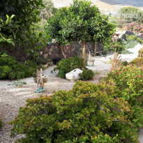 фото из отзыва ID 1835063