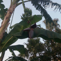 фото из отзыва ID 1835124