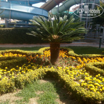 фото из отзыва ID 1835124