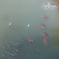 фото из отзыва ID 1835124