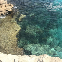 фото из отзыва ID 1835338