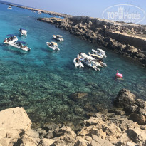 фото из отзыва ID 1835338