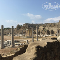 фото из отзыва ID 1835345