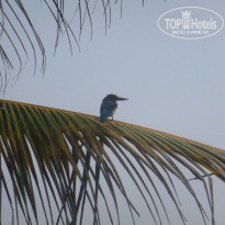 фото из отзыва ID 1835540