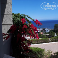 фото из отзыва ID 1831739