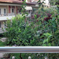 фото из отзыва ID 1835549