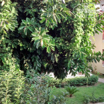 фото из отзыва ID 1835549