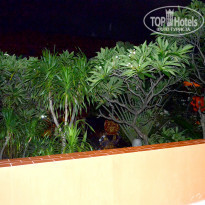 фото из отзыва ID 1835744