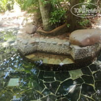 фото из отзыва ID 1835763