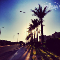 фото из отзыва ID 1835770