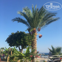 фото из отзыва ID 1835855