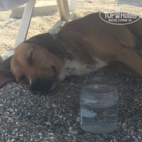 фото из отзыва ID 1835855