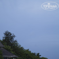 фото из отзыва ID 1835936