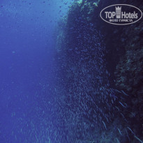 фото из отзыва ID 1835936