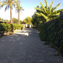 фото из отзыва ID 1835943