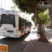 фото из отзыва ID 1835972