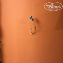 фото из отзыва ID 1836144