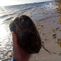 фото из отзыва ID 1835436