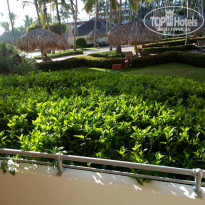 фото из отзыва ID 1835436