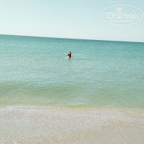 фото из отзыва ID 1831827