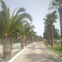 фото из отзыва ID 1836113