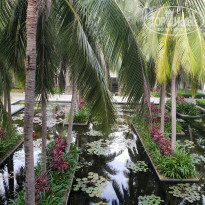 фото из отзыва ID 1836505