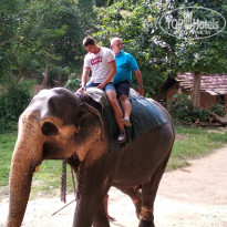 фото из отзыва ID 1836520