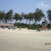 фото из отзыва ID 1836556