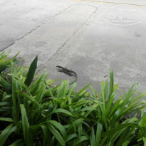 фото из отзыва ID 1836573