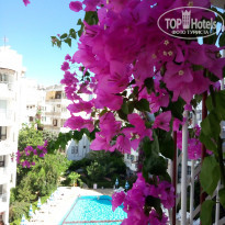 фото из отзыва ID 1836606