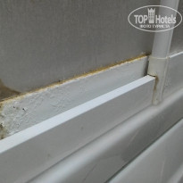 фото из отзыва ID 1836598