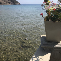 фото из отзыва ID 1836860