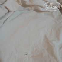 фото из отзыва ID 1836933