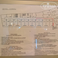 фото из отзыва ID 1837212