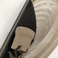 фото из отзыва ID 1837362