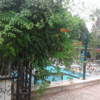 фото из отзыва ID 1837384