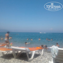 фото из отзыва ID 1837384