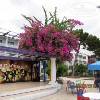 фото из отзыва ID 1837549