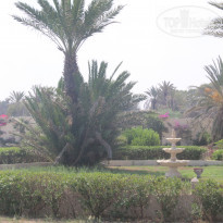 фото из отзыва ID 1837642