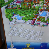 фото из отзыва ID 1837697