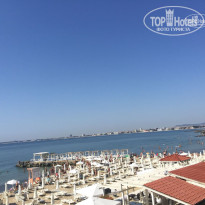 фото из отзыва ID 1837477