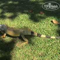 фото из отзыва ID 1837724