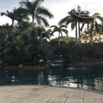 фото из отзыва ID 1837724