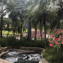 фото из отзыва ID 1837724