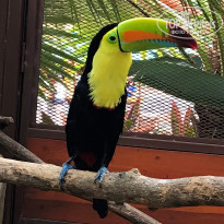 фото из отзыва ID 1837724