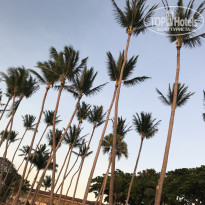 фото из отзыва ID 1837724