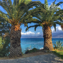 фото из отзыва ID 1837836