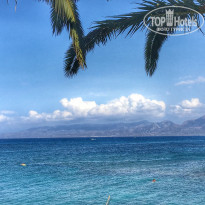 фото из отзыва ID 1837836