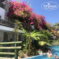 фото из отзыва ID 1837909